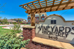 vineyards- 01